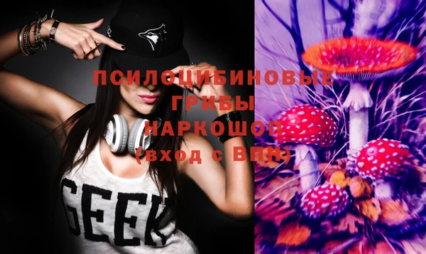 МДПВ Сафоново