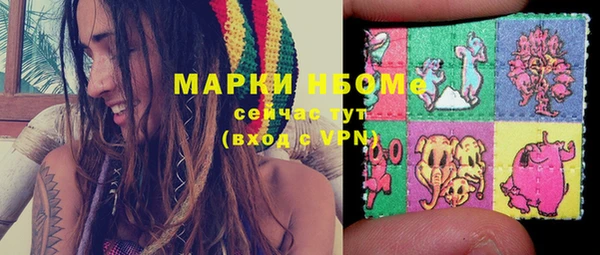 ГАЛЛЮЦИНОГЕННЫЕ ГРИБЫ Сосновый Бор